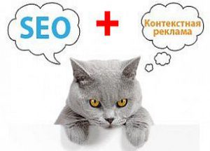 seo контекстная реклама с котами